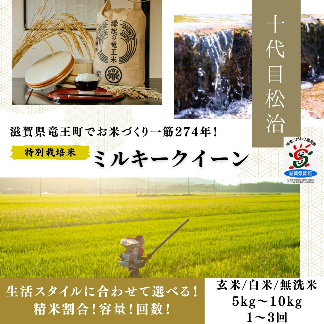 【ふるさと納税】 新米予約 令和7年産 米 ミルキークイーン 5kg 選べる【回数】【精米具合】 1回 3回 定期便 みるきーくいーん 3ヶ月 白米 玄米 無洗米 特別栽培米 環境こだわり ブランド米 精米 お米 こめ おこめ 滋賀県 竜王町 )