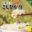 【ふるさと納税】 信州米 こしひかり 【 玄米 】 容量 5kg （ 5kg×1袋 ） 10kg （ 5kg×2袋 ）15kg （ 5kg×3袋 ）長野県産｜ コシヒカリ お米 玄米 10kg 特産品 千曲市 長野県 | 選べる 発送回数 げんまい 定期便 定期 便利 1等米 日本一 ごはん 米 こめ 分布会