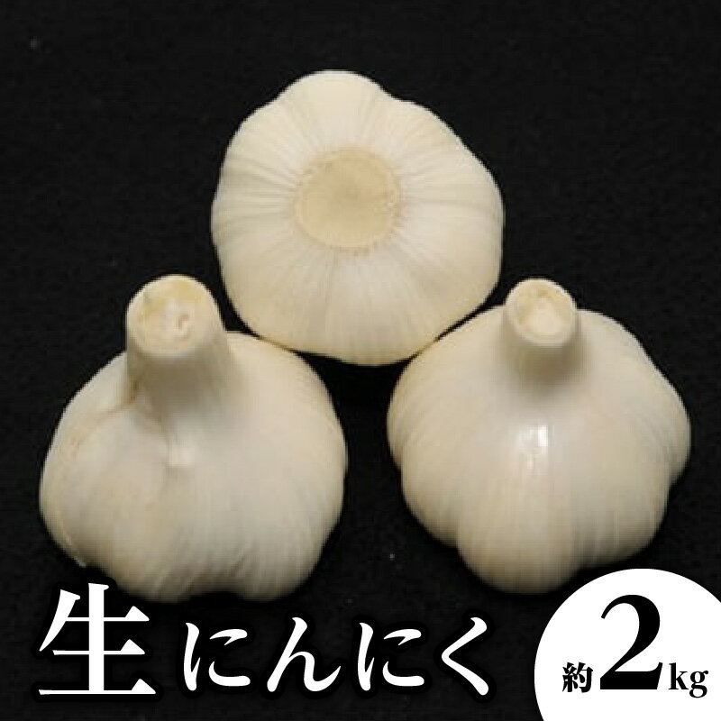【ふるさと納税】生にんにく 約2kg【2026-5月上旬～2026-6月上旬配送】 | 国産 にんにく 野菜 肉厚 濃厚 新鮮 産地直送 鮮度抜群 風味抜群 食品 旬 旬の野菜 季節の野菜 食材 季節 農作物 農産物 生鮮食品 お取り寄せ おすそ分け 自宅用 家庭用 高松市産 贈り物 瀬戸内