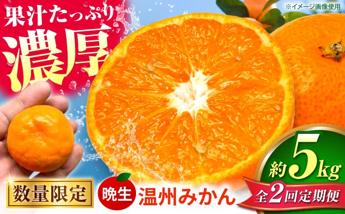 
            【先行予約】【全2回定期便】  晩生 温州みかん 約5kg みかん 【池田農園】 [ZEX008]
          