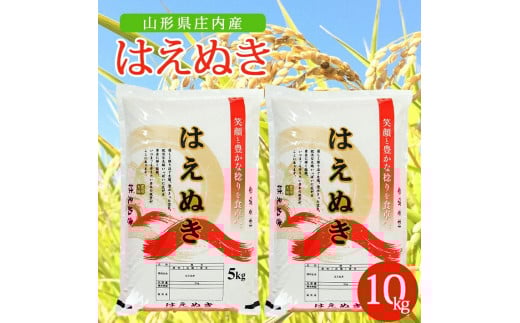 令和7年産【精米】はえぬき　10kg(5kg×2袋) AK SD0236