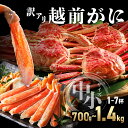 【ふるさと納税】【数量限定・期間限定】【訳アリ】越前がに 中小サイズ 700g〜1.4kg【マイマルシェ 敦賀 越前蟹 カニ 蟹 ズワイガニ ズワイ蟹 海鮮 かに鍋 かにしゃぶ 訳あり お中元 お歳暮 ギフト 贈り物 NEW 新規】