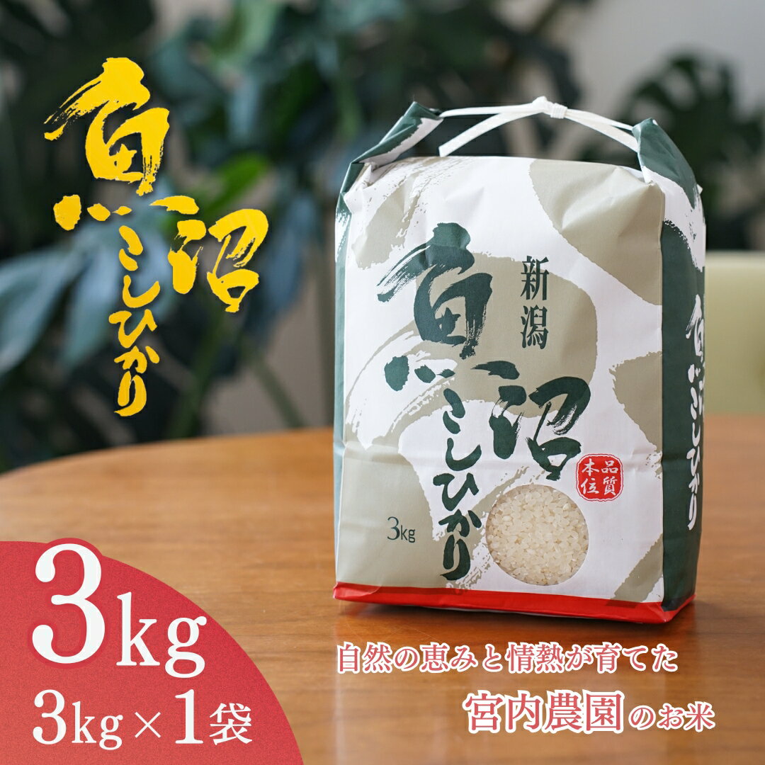 【ふるさと納税】令和7年産 魚沼産コシヒカリ3kg×1袋 精米 宮内農園 | 新潟県産 コシヒカリ お米 米 おこめ こめ コメ こしひかり 白米 魚沼産 ブランド米 人気 おすすめ 産地直送 新潟県 小千谷市【0002-MN01-01】