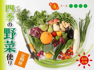 定期便 4回 野菜 おまかせ セット 10 ～ 14種  野菜定期便野菜定期便野菜定期便野菜定期便