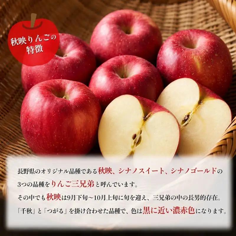 りんご 秋映 約10kg 果物 くだもの りんご