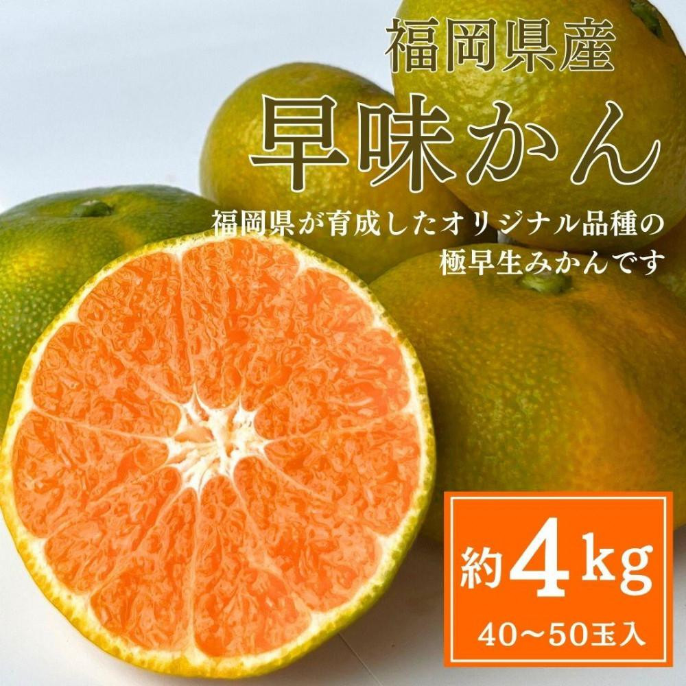 
            【2025年9月下旬より順次発送】福岡県産 早味かん 約4kg(40玉～50玉入) M・Sサイズ うまうまもぐもぐ
          