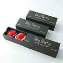 【ふるさと納税】Sky Berry 3piece 3粒入り×3箱【配送不可地域：離島・北海道・沖縄県・信越、北陸・東海・近畿・中国・四国・九州】【1105207】