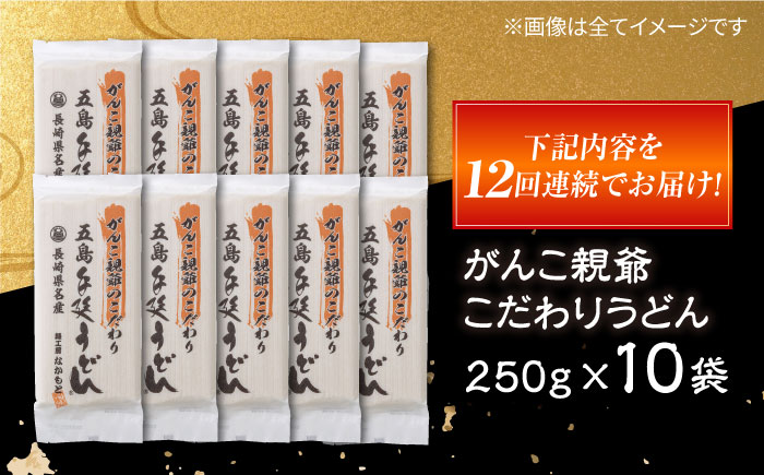【全12回定期便】がんこ親爺のこだわりうどん10袋　保存食　椿　五島　うどん　手延べ　五島市/中本製麺 [PCR038]