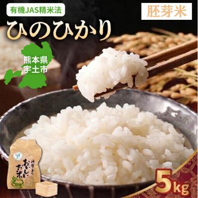 ふるさと納税 宇土市 【先行予約】令和8年産米 那須自然農園「ひのひかり」胚芽米5kg