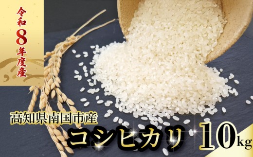 【スピード配送】令和8年度 南国市産 コシヒカリ 白米 10㎏ | 数量限定 米 コメ お米 ご飯 おにぎり こめ 弁当 高知県 南国市
