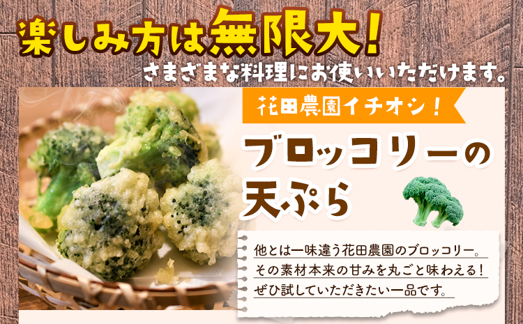ブロッコリー 花田農園 の ブロッコリー 10個 花田農園 《11月下旬-3月末頃出荷》福岡県 鞍手町 ぶろっこりー 野菜 ブロッコリー 産地直送 送料無料---skr_chndbr_cf113_25