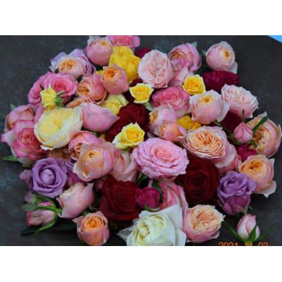 ふるさと納税 竜王町 薔薇風呂セット 〜ちょっと優雅なバスタイム〜 50輪入り