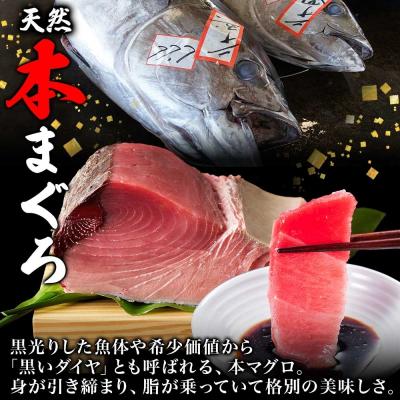 ふるさと納税 函館市 戸井産 本マグロ 中トロ 約160g_HD144-002 |  | 01