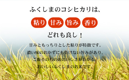No.3248 【令和7年産】 菅野房吉商店 福島市産コシヒカリ 8kg