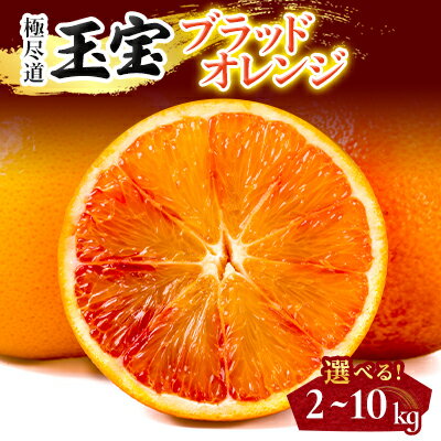 【ふるさと納税】【愛媛名産】玉宝ブラッドオレンジ(タロッコ)　2kg / 3kg / 5kg / 10kg_ みかん ブラッドオレンジ タロッコ オレンジ 玉宝 極尽道 愛媛のみかん 柑橘 果物 くだもの フルーツ 美味しい 赤い果肉 甘い 濃厚 【G1623965】