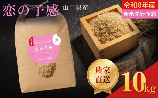 令和8年産  恋の予感 玄米 10kg