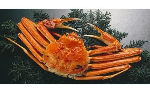 浜茹で特選とっとり松葉ガニ (特大)【山根商店】 312011_CE009