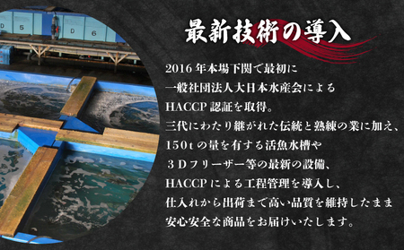 【お届け指定日必須】 とらふぐ 料理セット 5～6人前 ふぐ ID