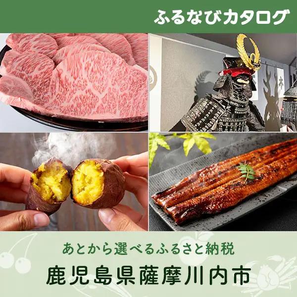 【有効期限なし！後からゆっくり特産品を選べる】鹿児島県薩摩川内市カタログポイント