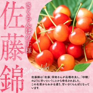 さくらんぼの王様 佐藤錦 500g×2パック 合計1kg(2L) 【2024年発送先行予約】 余市 北海道 フルーツ王国 さくらんぼ サクランボ 桜桃 佐藤錦 余市産さくらんぼ  小分けさくらんぼ  