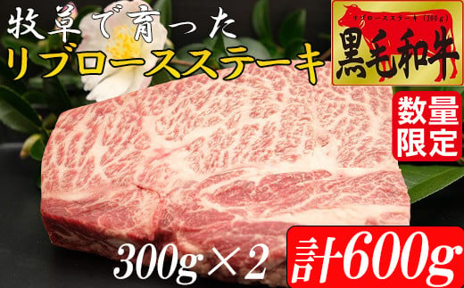 
牧草で育った黒毛和牛　リブロースステーキ６００ｇ（300ｇ×2枚セット数量限定）
