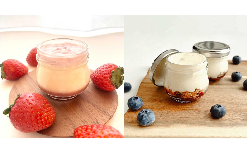 土佐レモン香る 【チーズケーキ2種セット】