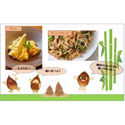 ふるさと納税 美祢市 たけのこの水煮　美祢っこ ハーフ150g×2個 |  | 03