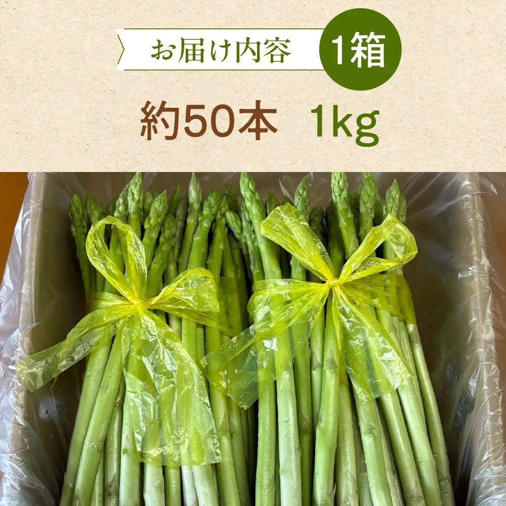 （2026年5月から順次発送）高級アスパラガス 隆至の龍 1kg（約50本入り）レギュラーサイズ【119-2】