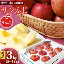 【ふるさと納税】【りんご】「サンふじ」3kg 秀品 （8～11玉）山形産 【2024年12月上旬頃～2025年1月中旬頃発送予定】 ／ 果物 フルーツ 林檎 アップル 果実 お取り寄せ ご当地 特産 産地 直送 贈答 ギフト 果汁 東北 山形県 2024年産 令和6年産 apple fruits