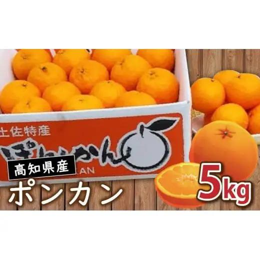 【数量限定】1月から発送開始 訳あり ポンカン 5kg 産地直送 季節限定 高知県産　