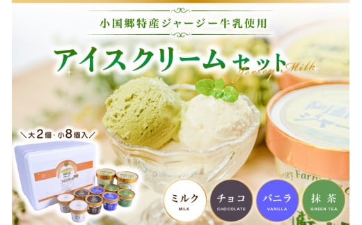 【小国郷特産ジャージー牛乳を使用！】アイスクリームセット(大2個・小8個入り)  阿蘇 小国郷特産 ジャージー牛乳 アイスクリーム セット 10個 480ml 130ml バニラ 抹茶 チョコ ミルク  氷菓 アイス 詰め合わせ ギフト 贈答用 お取り寄せ JA阿蘇 熊本 南小国町 送料無料