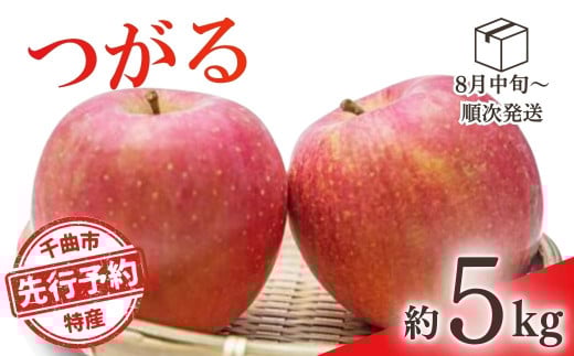 【2025年先行予約】りんご つがる 約5kg 林檎 津軽 千曲市 長野県産 信州