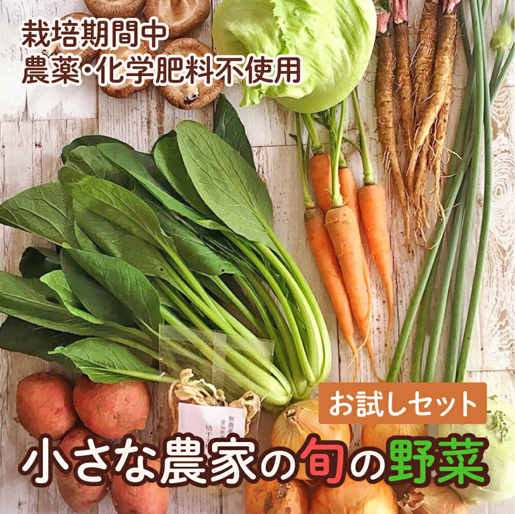 【ふるさと納税】旬の野菜セット　お試し 野菜 野菜詰め合わせ おまかせ 新鮮 旬の野菜 愛知県 豊橋市 送料無料 5000円