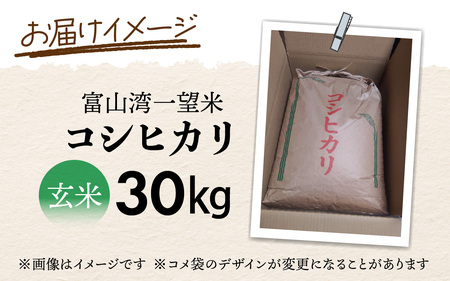 富山湾一望米　コシヒカリ 玄米 【容量30kg】 [G-051001]