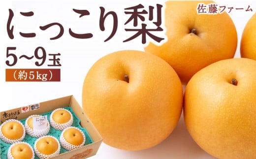 佐藤ファーム にっこり梨  5玉から9玉 (約5kg) 2024年10月23日から10月31日 出荷予定