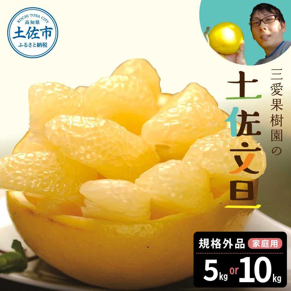 【ふるさと納税】【選べる内容量】三愛果樹園の土佐文旦 規格外品 L〜4Lサイズ 約5〜10kg 土佐文旦 高知 柑橘 フルーツ ぶんたん 果物 甘い 旬 産直 お取り寄せ 季節限定 高知県土佐市/三愛果樹園[BQAO012]