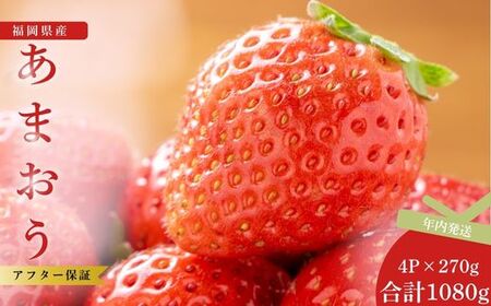 【先行予約】福岡県産あまおう 270g×4パック ※年内発送 農家直送 [TY013-2] ※配送不可：北海道・沖縄・離島【福岡県須恵町】いちご イチゴ 苺 フルーツ 果物 国産 九州 送料無料