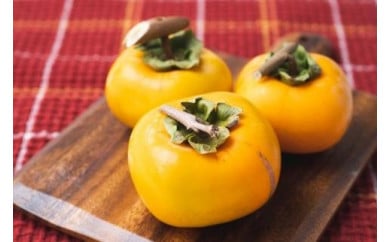 吊るし柿用たね無渋柿T軸又はクリップ付紐付約1.5～2kg　約6～12個＜2026年10月中旬～11月上旬ごろ順次発送＞【ART11】