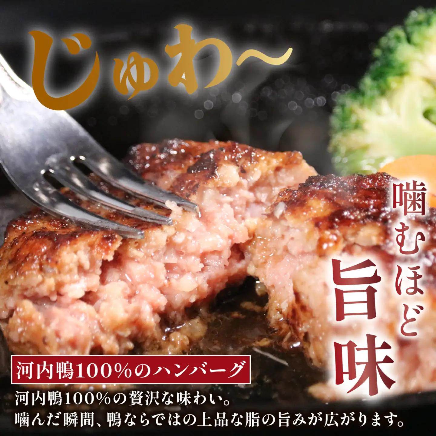 【河内鴨100％】 10個 鴨 ハンバーグ