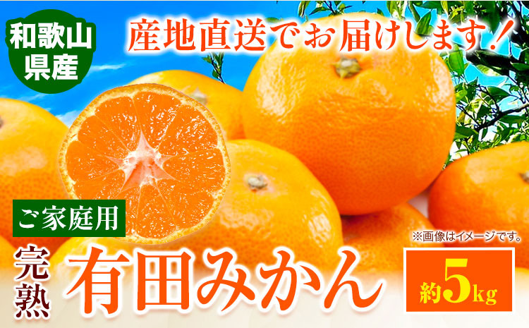
                  みかん ご 家庭用 完熟 有田みかん 約 5kg 有田マルシェ《12月上旬-12月下旬頃出荷予定》 和歌山県 日高町 みかん 有田みかん 柑橘 フルーツ 完熟 送料無料 訳あり みかん 蜜柑 ミカン 柑橘
                