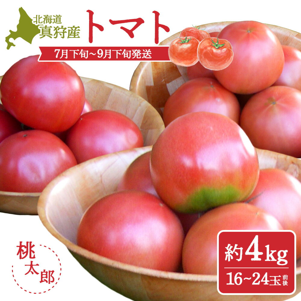 【ふるさと納税】北海道真狩村産　トマト（約4kg入り16～24玉前後）【01211】
