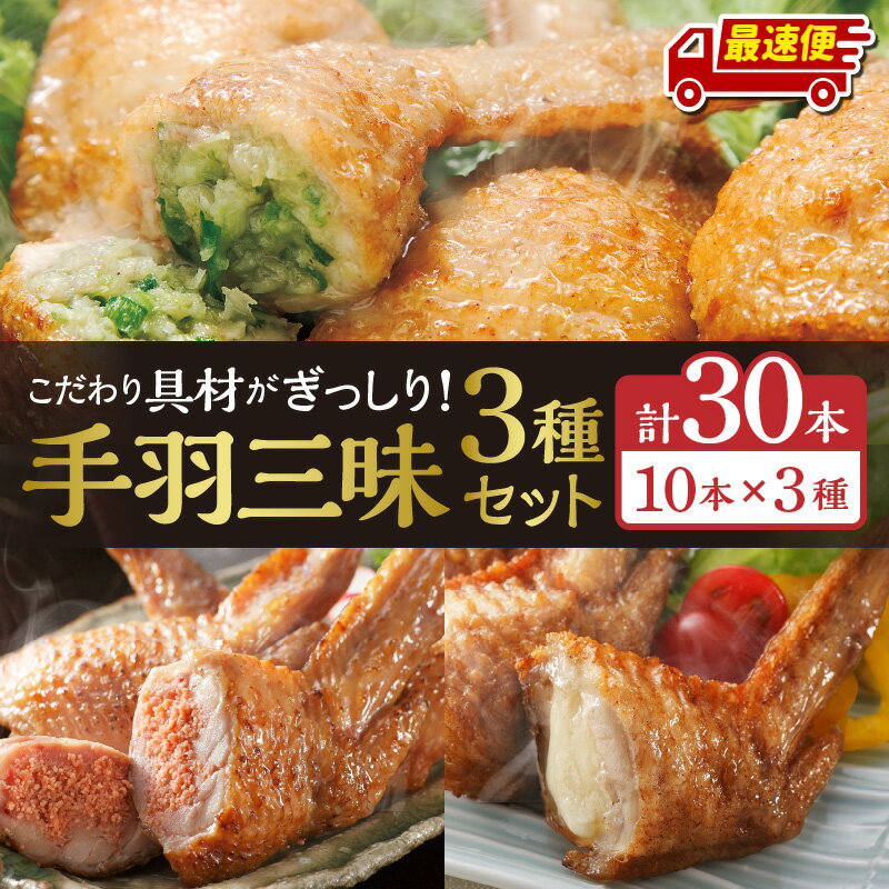 【ふるさと納税】【発送時期が選べる】手羽三昧3種セット(手羽先餃子・手羽先明太・手羽先チーズ各10本入り) 手羽先餃子 おススメ おかず お惣菜 惣菜 お弁当 食べ比べ 味比べ 詰め合わせ セット お取り寄せ グルメ 名物 手羽 餃子 宮崎市 送料無料《レビューキャンペーン》