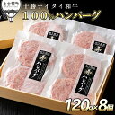 【ふるさと納税】十勝ナイタイ和牛 100%ハンバーグ 120g×8個 5・4等級黒毛和牛使用 北海道産 牛肉100% 冷凍 ※オンライン申請対応