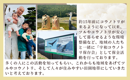 新米 ＜令和7年産 コシヒカリ「つるの寝どこまい」約5kg 西予市宇和町産＞ 2025年産 こしひかり お米 コメ こめ 白米 精米 ご飯 ごはん 穀物 ライス SDGs 共生 楠 健明 愛媛県 西予