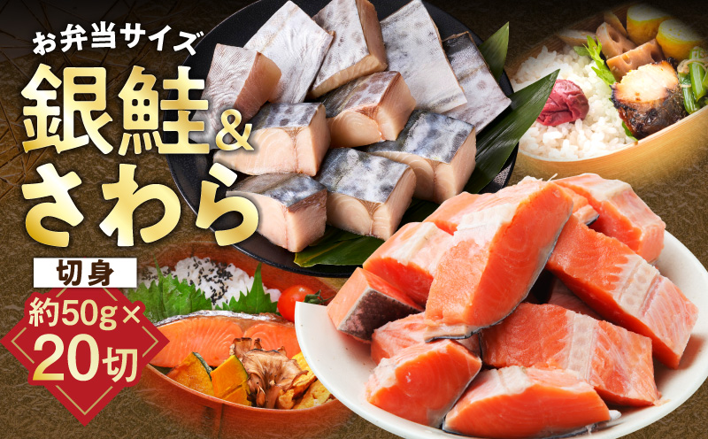 【お弁当サイズ】さわら&銀鮭 切身 計20切れ（各約50g×10切れ） 【小分け 漁師 さけ サケ 手切り  泉州 鰆 切り身 弁当 朝食 時短 訳あり サイズ不揃い 規格外 冷凍食品  大阪 泉佐野 大阪府 泉佐野市】