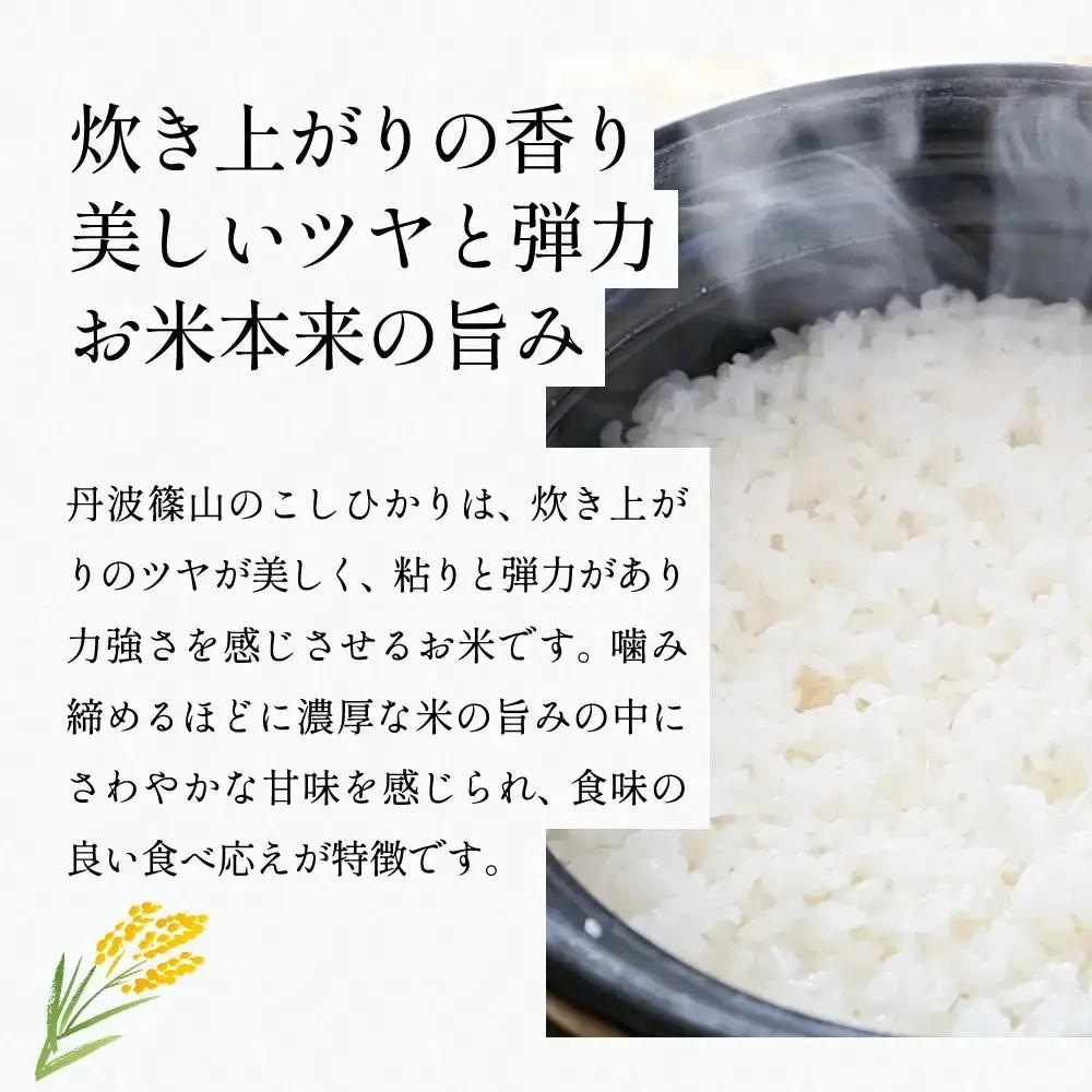 新米予約〈スピード出荷〉減農薬 特A 丹波篠山産 特別栽培米 こしひかり 20kg 精米 小分け