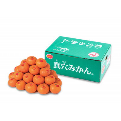 【ふるさと納税】真穴みかん【Mサイズ】 約3kg【D43-10】【1654524】