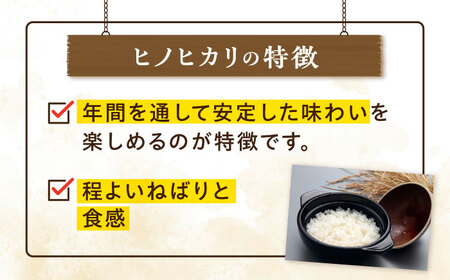 【年内発送】糸島産 ヒノヒカリ 20kg 糸島市 / 平山農園 米 白米 米 白米 ご飯 お米 20kg[AXN007]