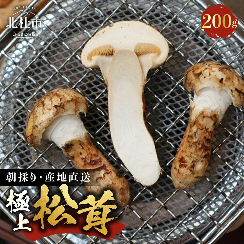 【ふるさと納税】 松茸 200g 北杜市 斑山 国産 まつたけ 天然 数量限定 期間限定 季節限定 北杜市産 朝採り 産地直送 希少 最高級品 秋 山の幸 きのこ キノコ 松茸ご飯 土瓶蒸し 天ぷら 素焼き 送料無料