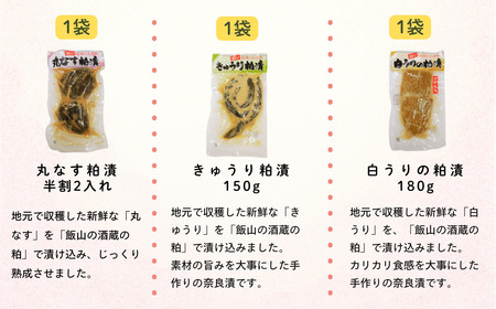 信州の味　野沢菜と漬物セット9種類11袋(H-1.2)